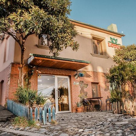 Lotus Hotel Tbilisi Exterior photo